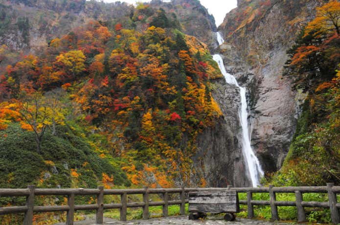 称名滝と紅葉