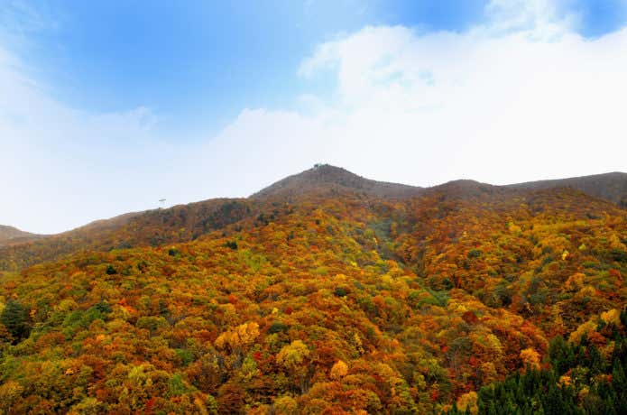 蔵王 紅葉