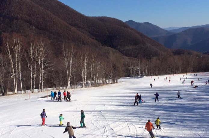 Mt.乗鞍スキー場で滑る人々