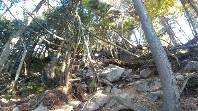 皇海山山頂直下の急登