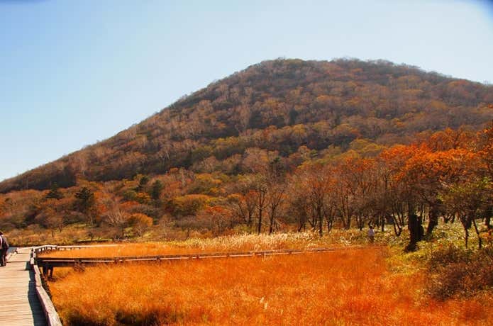 覚満淵の草紅葉