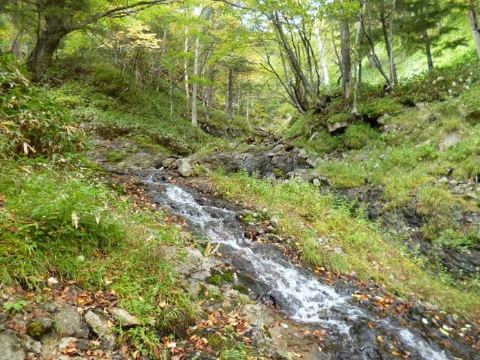 下山コース中の沢