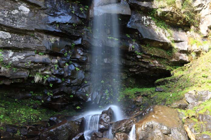 氷ノ山西麓