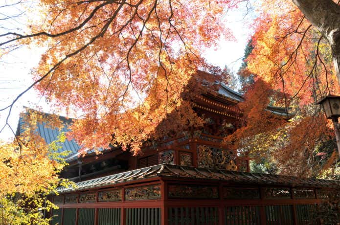 薬王院と紅葉