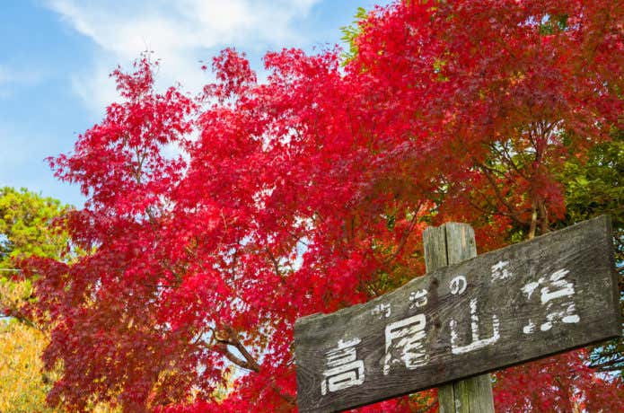 紅葉シーズンの高尾山