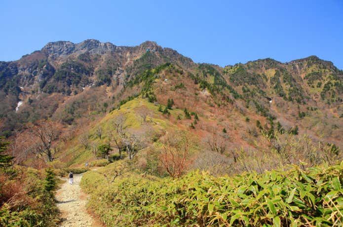 石槌山　植物の宝庫