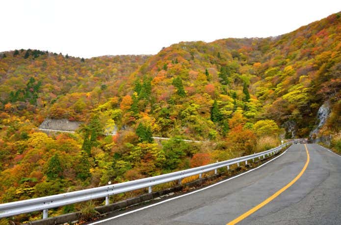 伊吹山ドライブウェイ