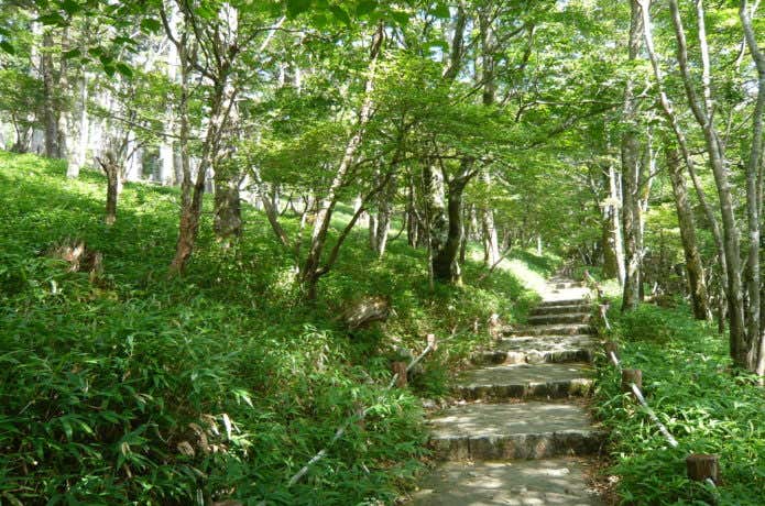 ハイキングにぴったりな関西の大台ケ原