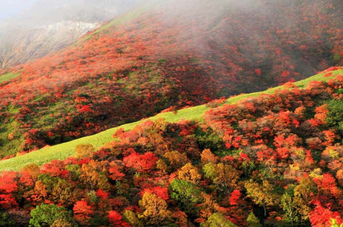 那須岳 紅葉