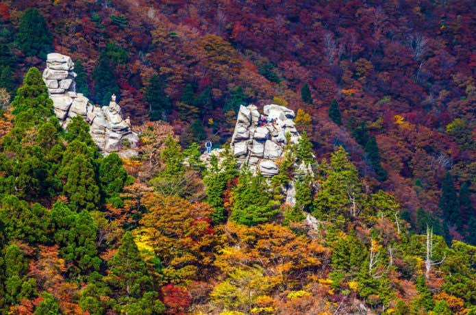 御在所岳の紅葉