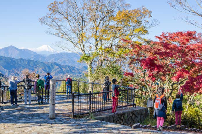 高尾山の山頂