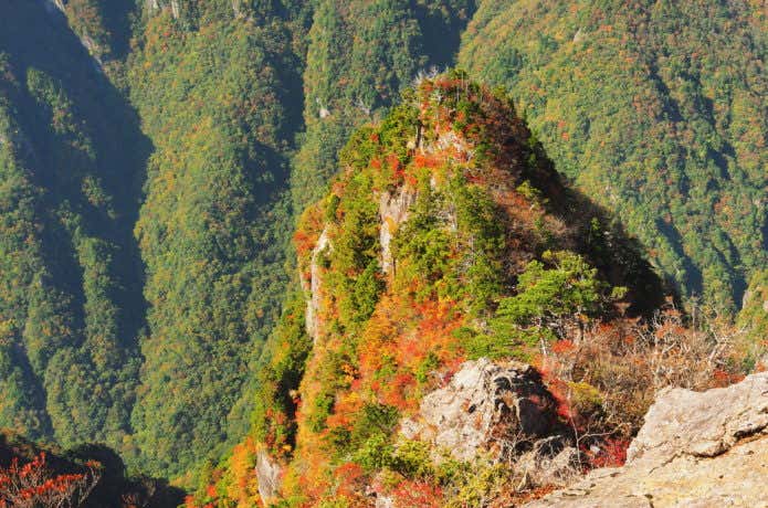 大台ヶ原山の岩