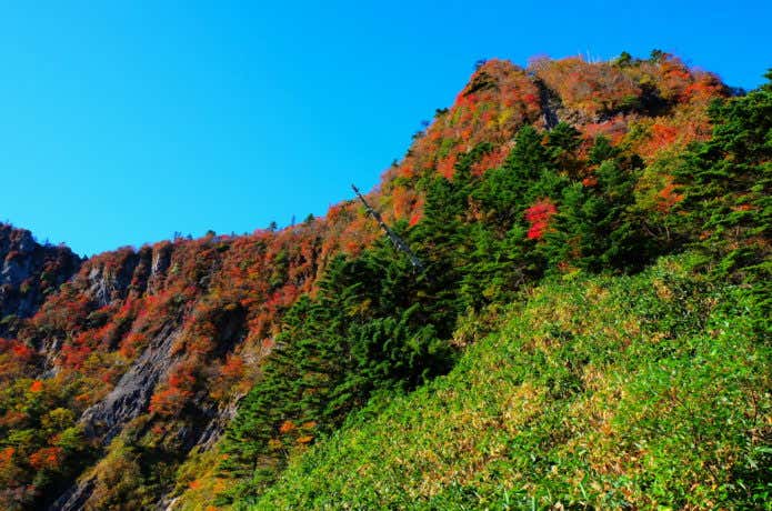 石鎚山の紅葉