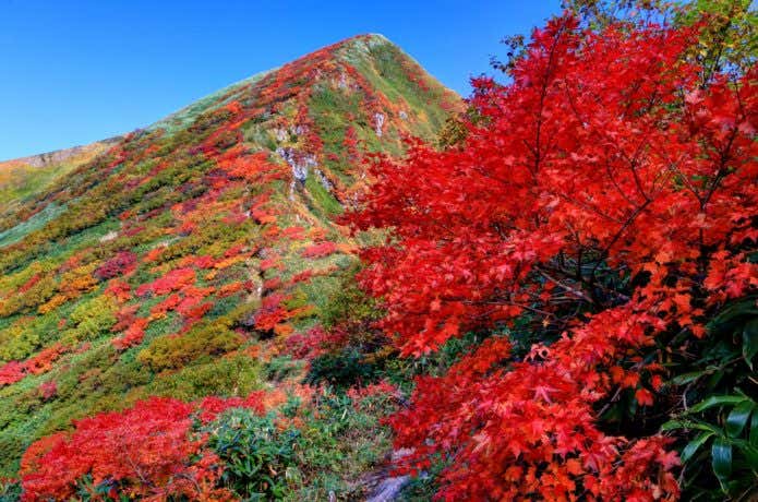 谷川岳の紅葉
