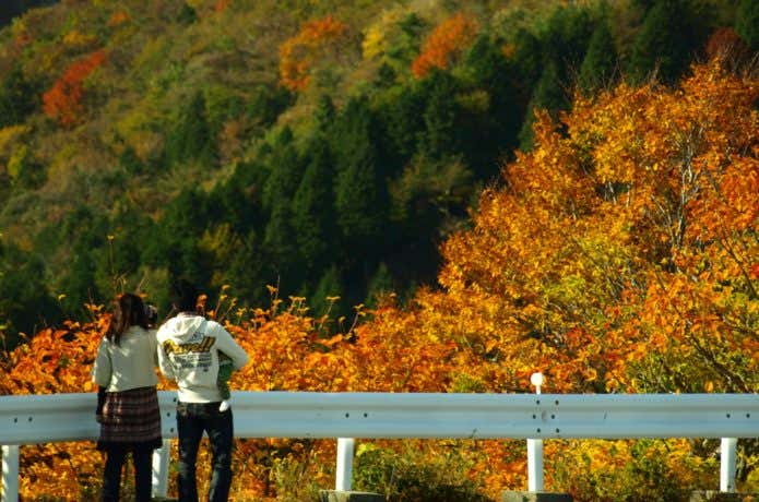 伊吹山の紅葉を眺める人