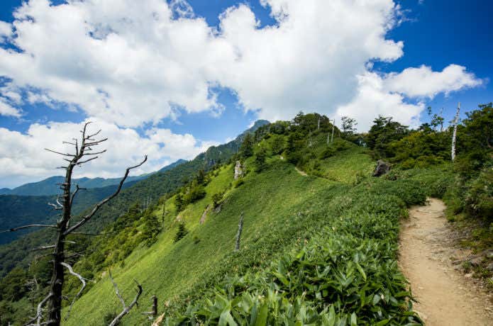 山頂付近の登山道