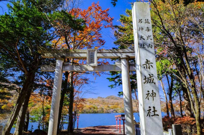 赤城神社の鳥居