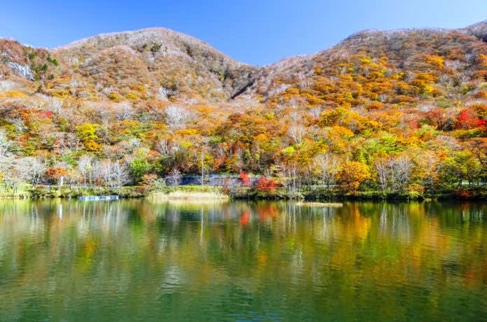 大沼湖畔の紅葉
