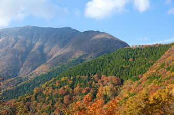 伊吹山の紅葉