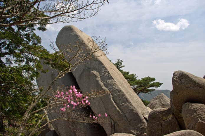 御在所岳のおばれ石