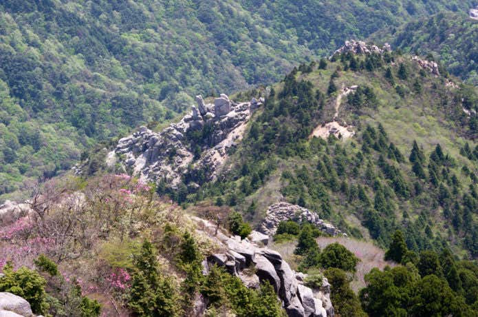 御在所岳の中登山道