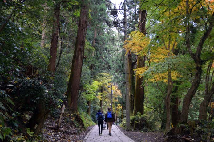 高尾山一号路の舗装された道を歩く登山客