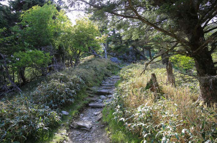 剣山への登山道