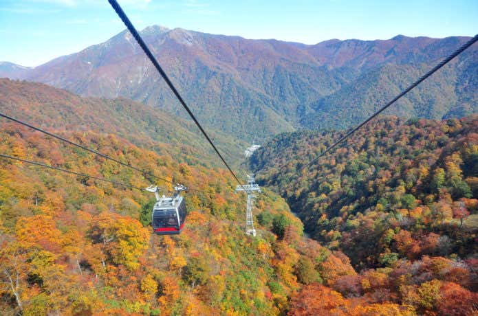 谷川岳ロープウェイと紅葉