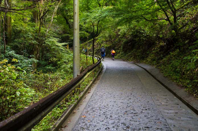 高尾山の舗装された登山道