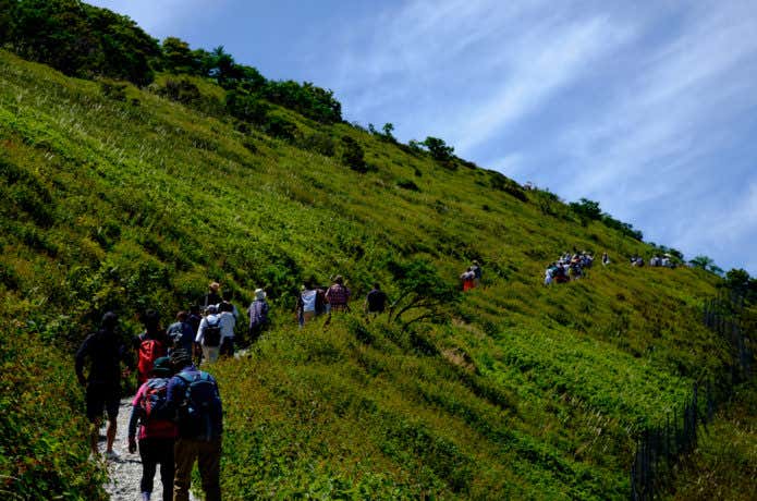伊吹山西登山道