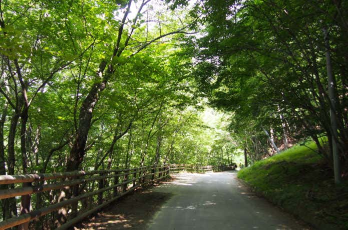 徳ちゃん新道