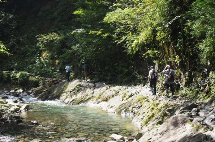 甲武信ヶ岳　沢沿いの道