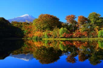 東北の紅葉