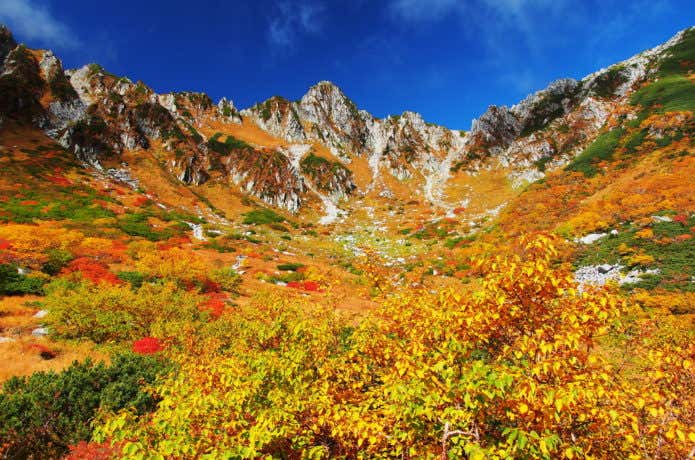 オレンジが綺麗な千畳敷カール