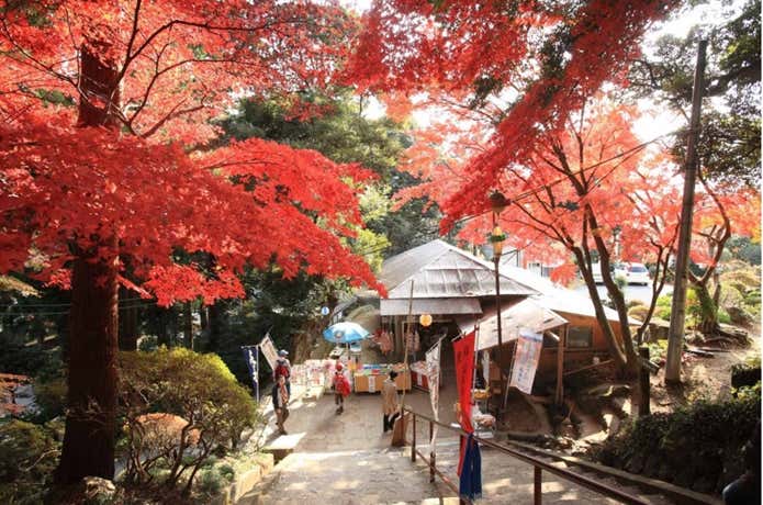 筑波山の紅葉