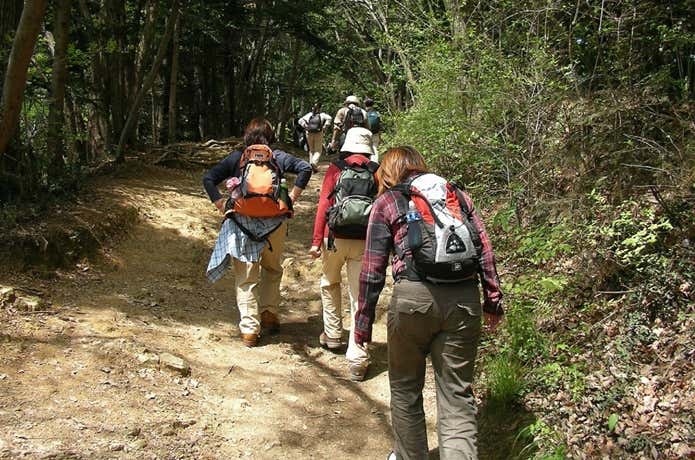 高尾山に登る人