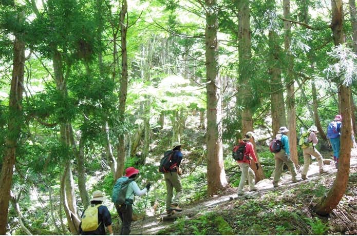 氷ノ山の登山者