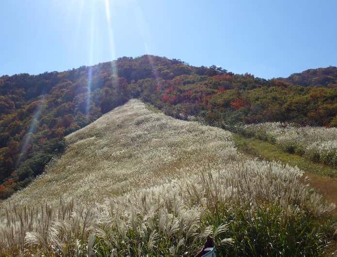 ぶん回しコースの見晴の良い稜線
