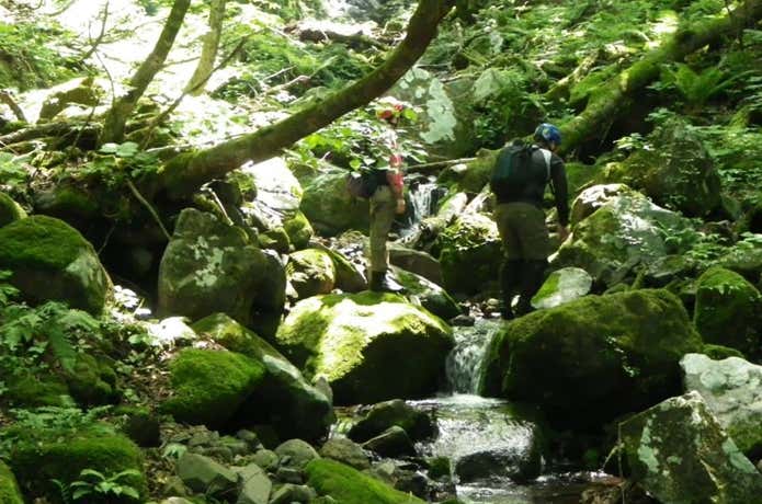 氷ノ山で沢登りをする人