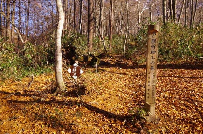 黒姫山　新道分岐