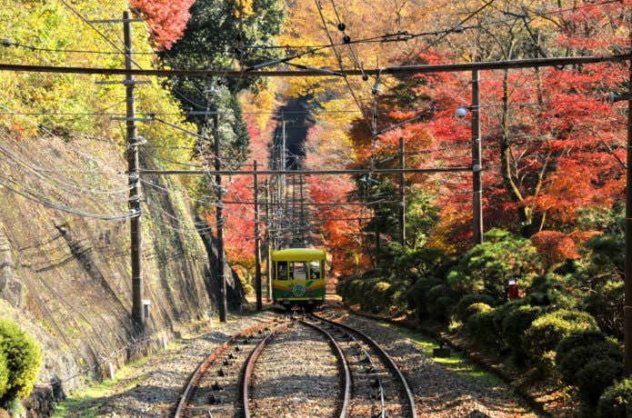 高尾山ケーブルカーと紅葉