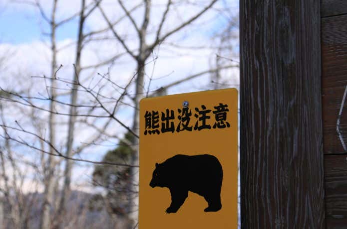 熊出没注意