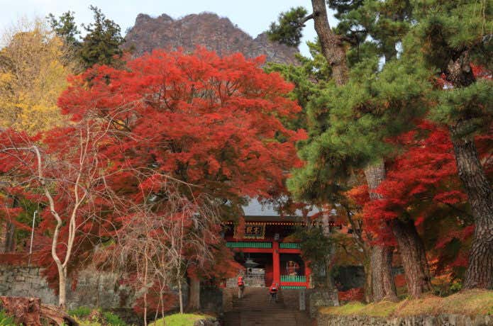 紅葉の妙義神社