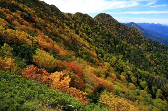 女峰山紅葉