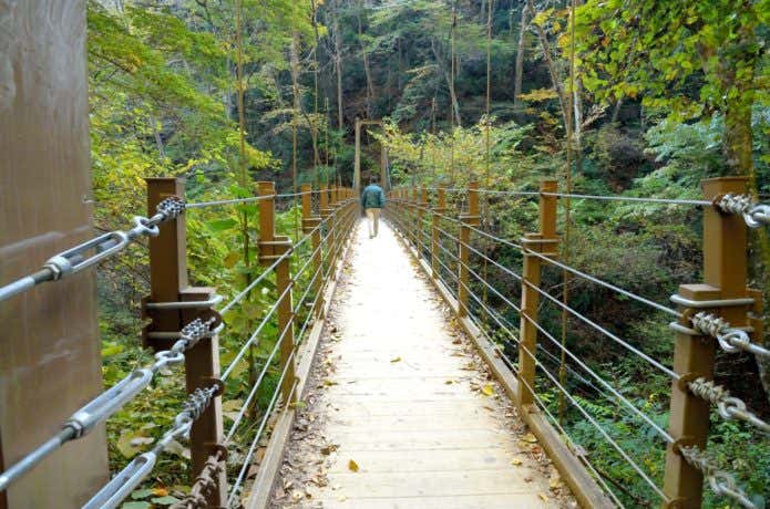高尾山登山4号路の吊り橋