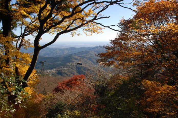 筑波山の紅葉とロープウェイ