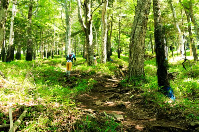 男体山の登山道