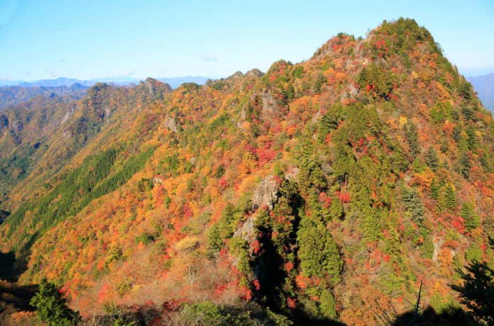 両神山 紅葉