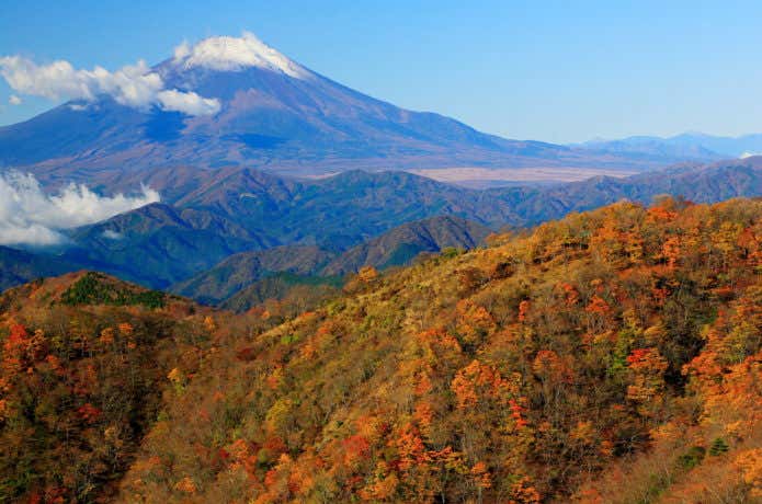 丹沢山｜日帰りもできてアクセス抜群！富士山の絶景が楽しめる登山ルート4選 | YAMA HACK[ヤマハック]