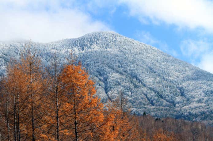 紅葉と雪が被った岩菅山